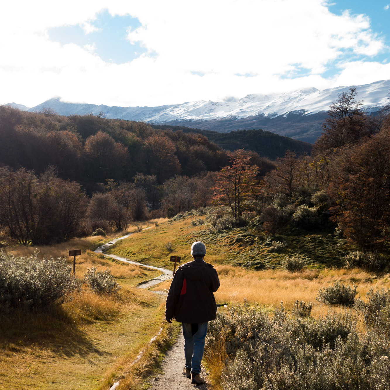 Caminata bosque